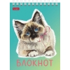 Блокнот на спирали 40 л.A6 Хатбер Котики бывают разными